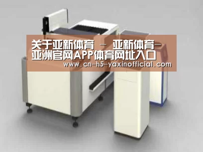 产品名称十五