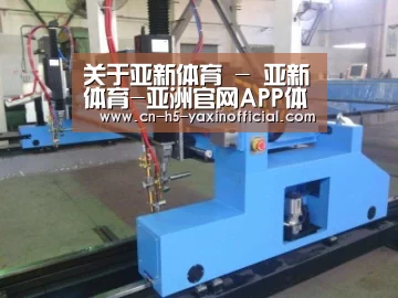 产品名称十六