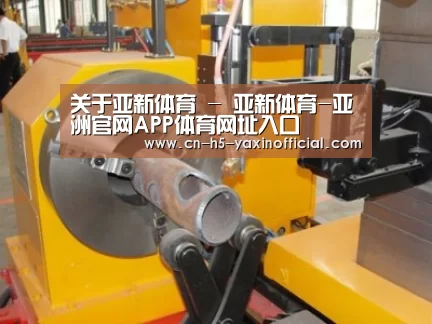 产品名称十三