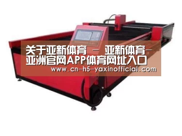 产品名称十一