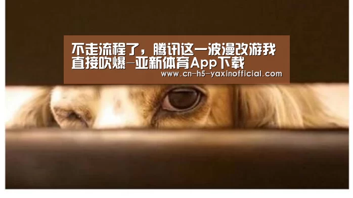 亚新体育App下载