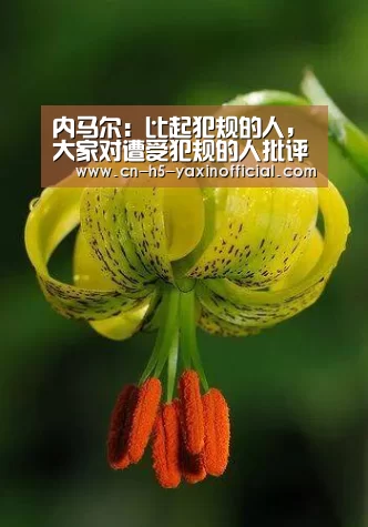 内马尔：比起犯规的人，大家对遭受犯规的人批评更多‘ 亚新体育手机应用’